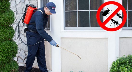 Gülyalı Bit İlaçlama böcek ilaçlama ve haşere kontrolü — ilaclama-tr.com